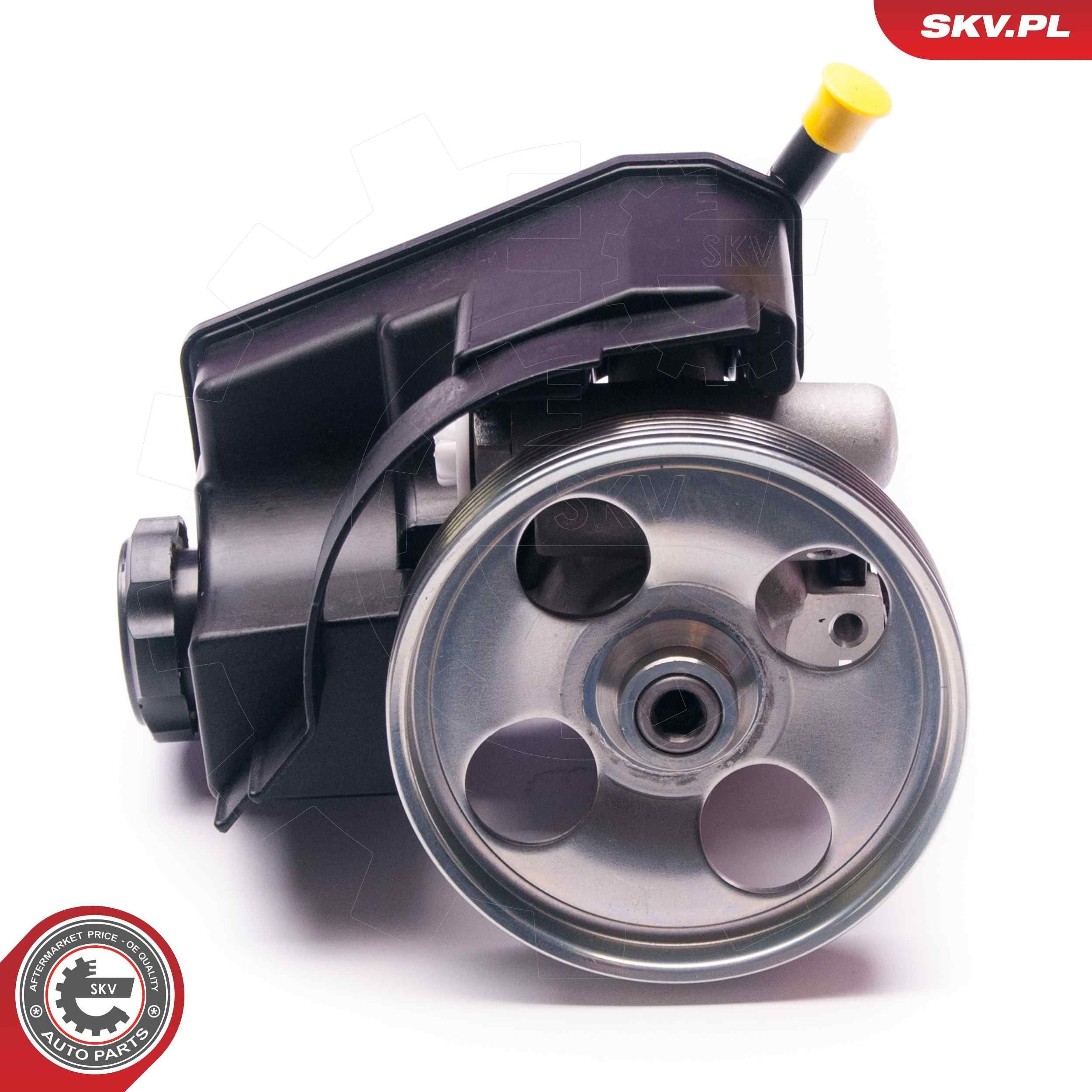 10SKV231 SKV